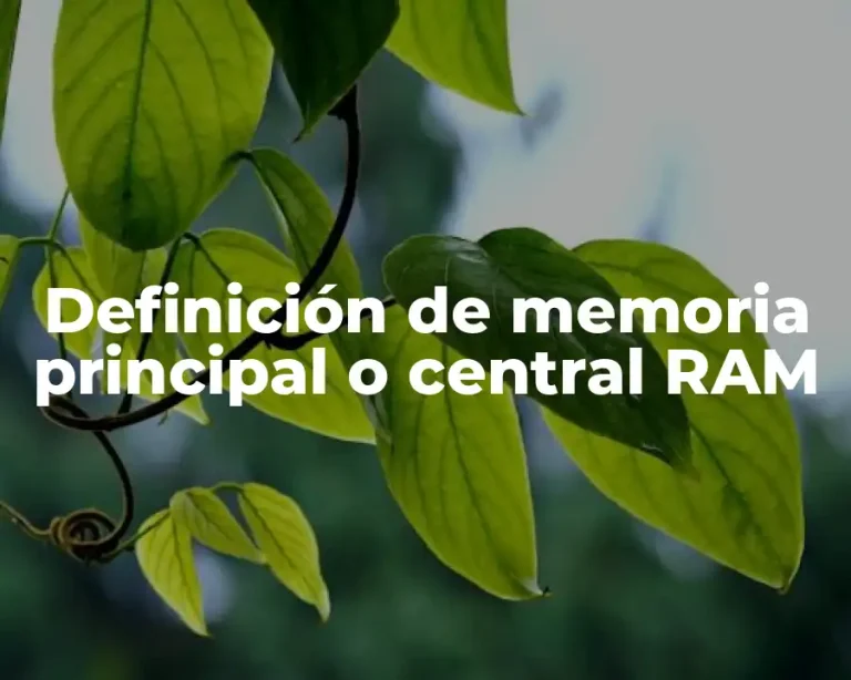 Definición de memoria principal o central RAM