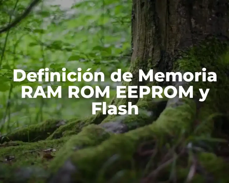 Definición de Memoria RAM ROM EEPROM y Flash