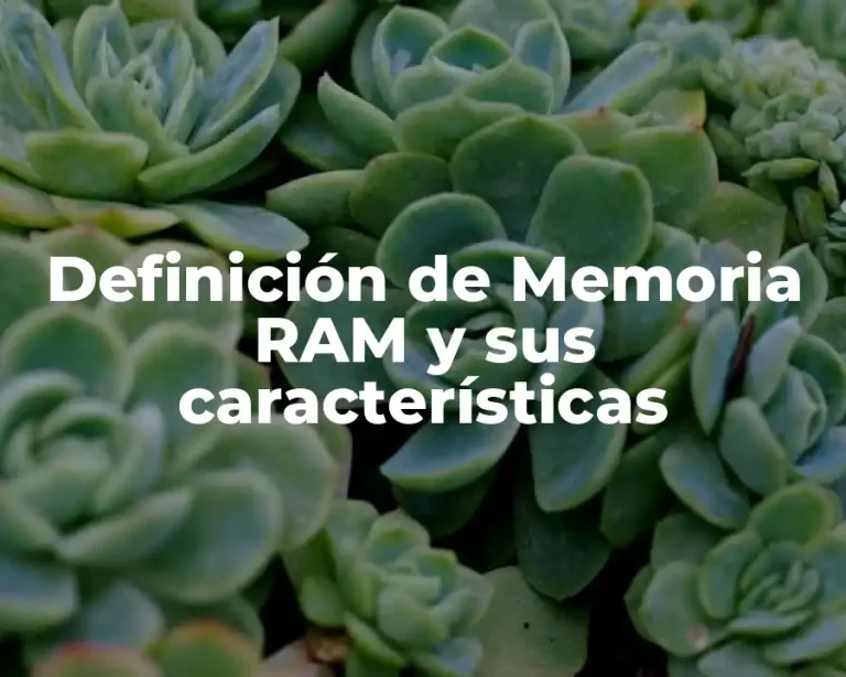 Definición de Memoria RAM y sus características