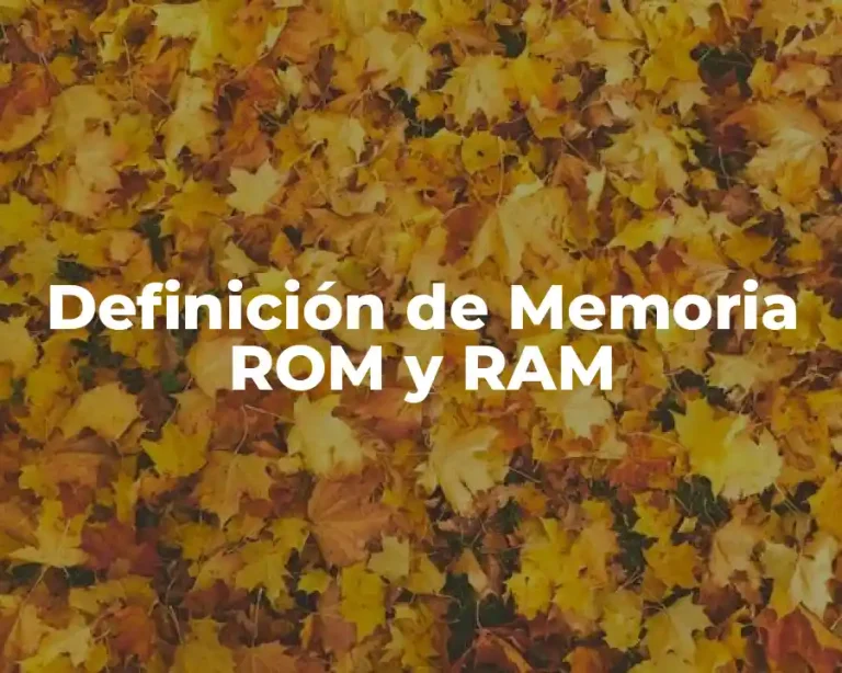 Definición de Memoria ROM y RAM