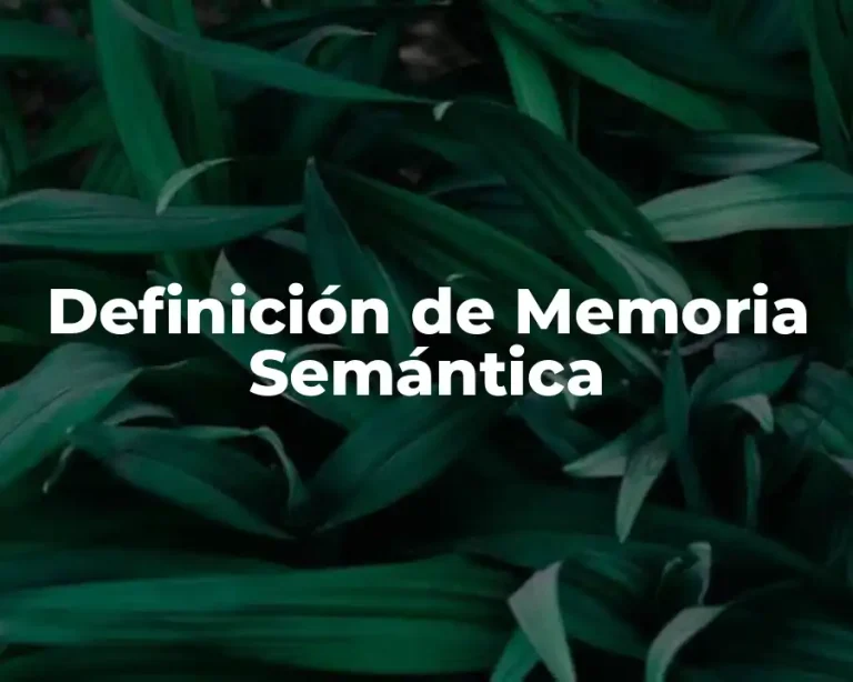 Definición de Memoria Semántica