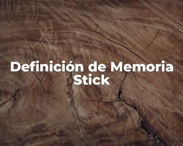 Definición de Memoria Stick
