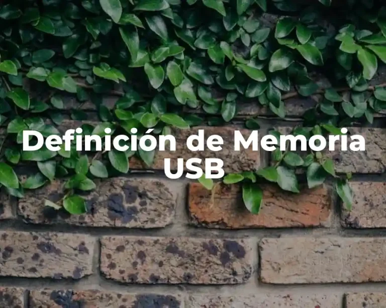 Definición de Memoria USB