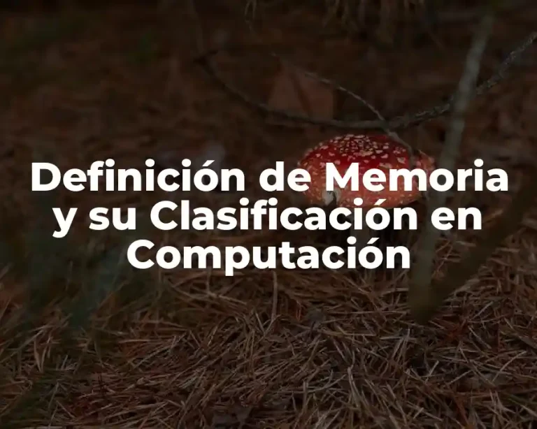 Definición de Memoria y su Clasificación en Computación
