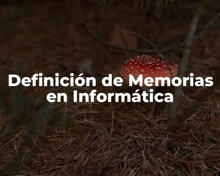 Definición de Memorias en Informática