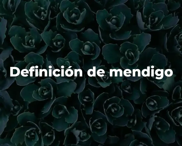 Definición de mendigo
