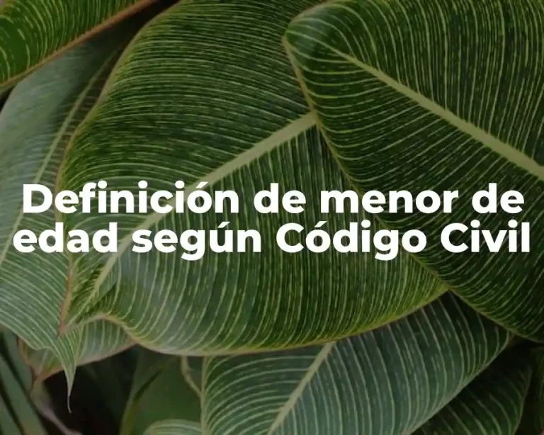 Definición de menor de edad según Código Civil