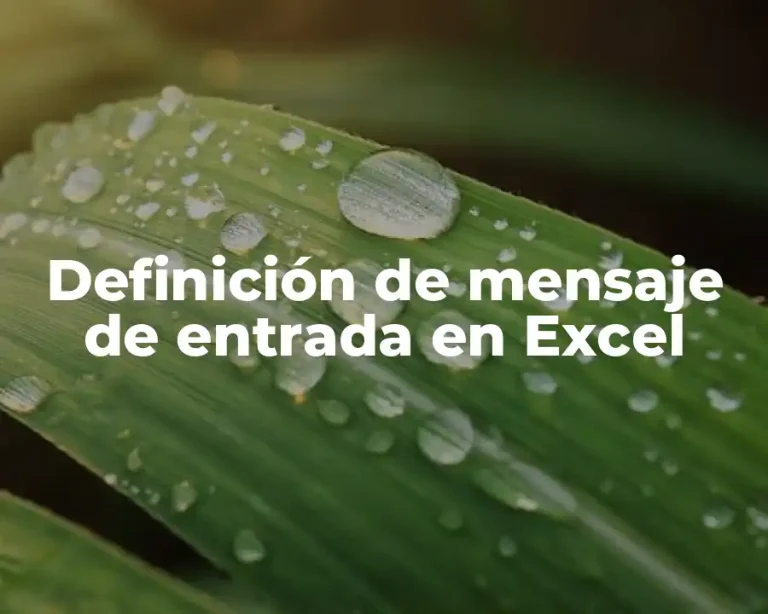 Definición de mensaje de entrada en Excel