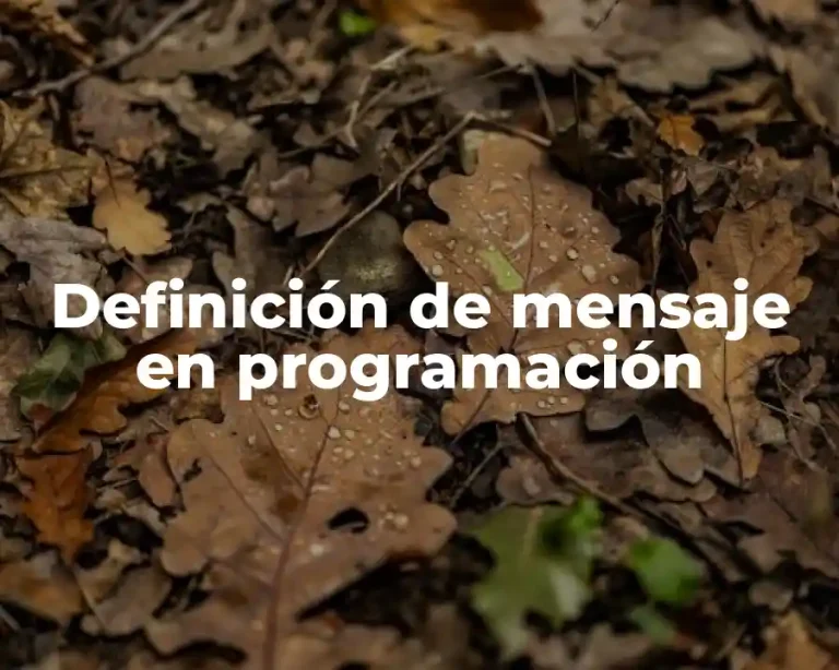 Definición de mensaje en programación