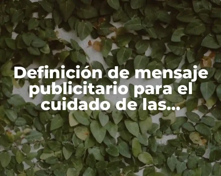 Definición de mensaje publicitario para el cuidado de las mascotas