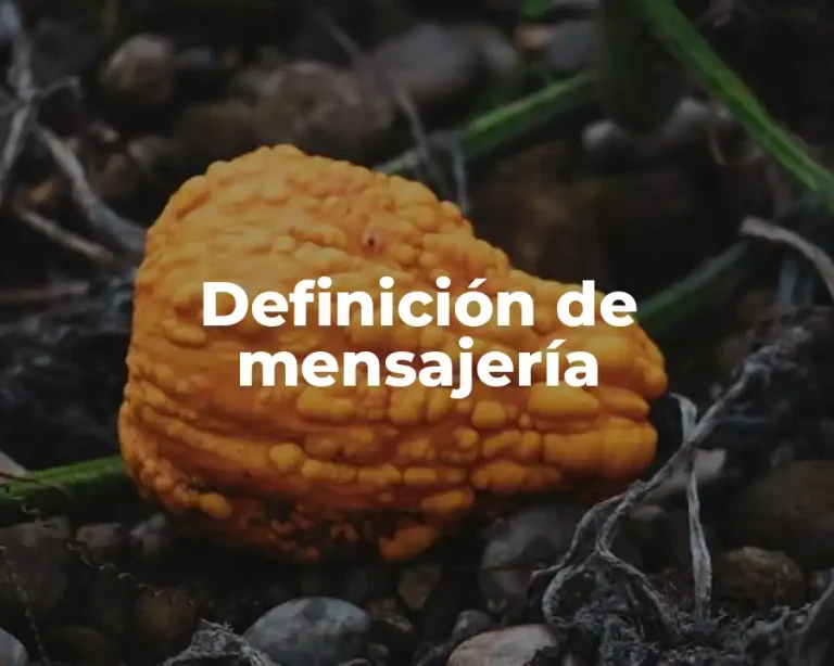 Definición de mensajería