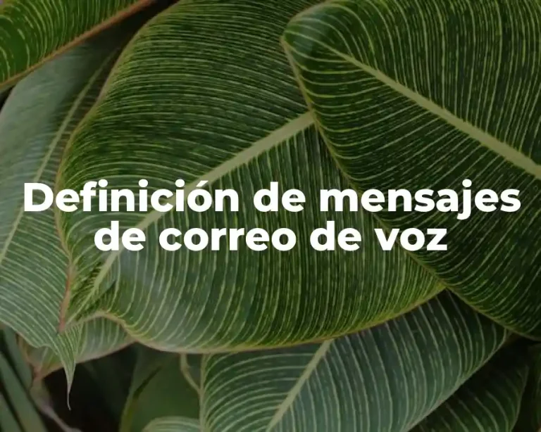 Definición de mensajes de correo de voz