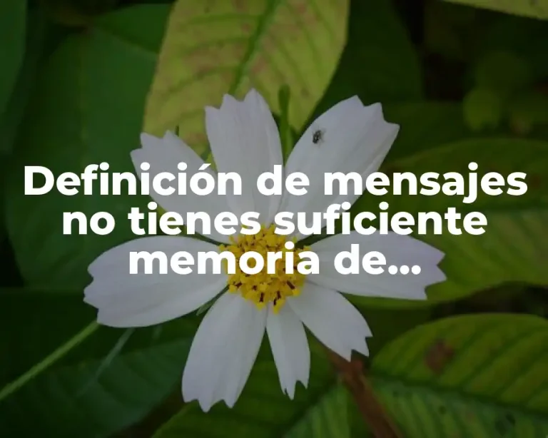 Definición de mensajes no tienes suficiente memoria de almacenamiento