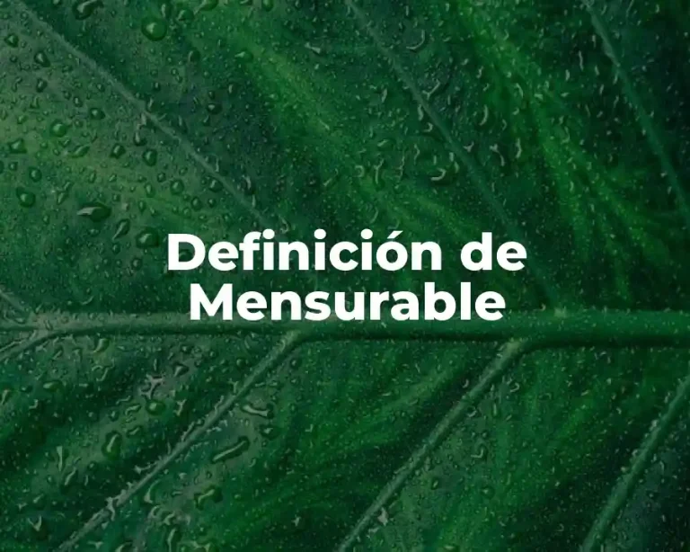 Definición de Mensurable