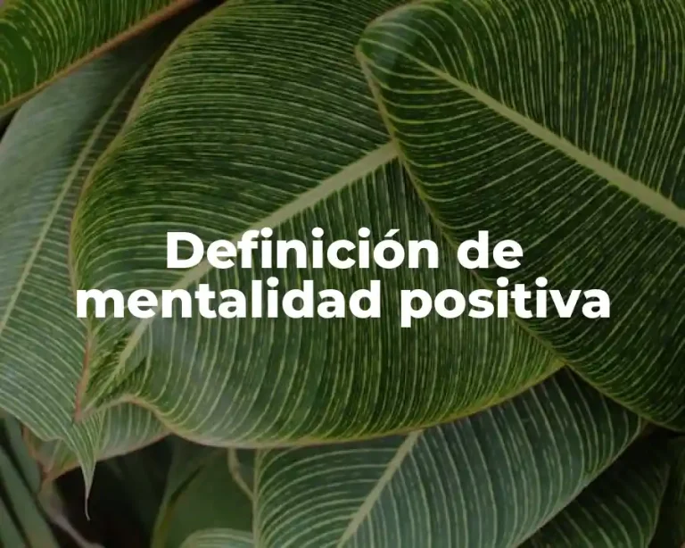 Definición de mentalidad positiva
