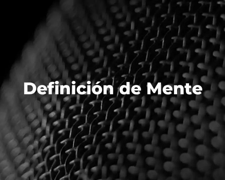 Definición de Mente