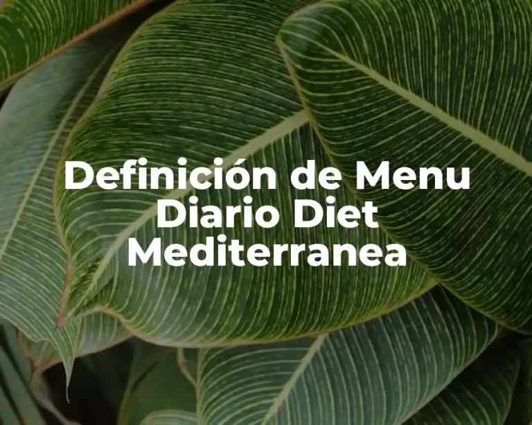 Definición de Menu Diario Diet Mediterranea