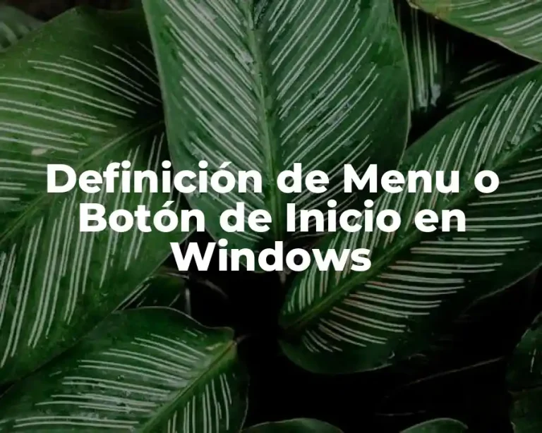 Definición de Menu o Botón de Inicio en Windows