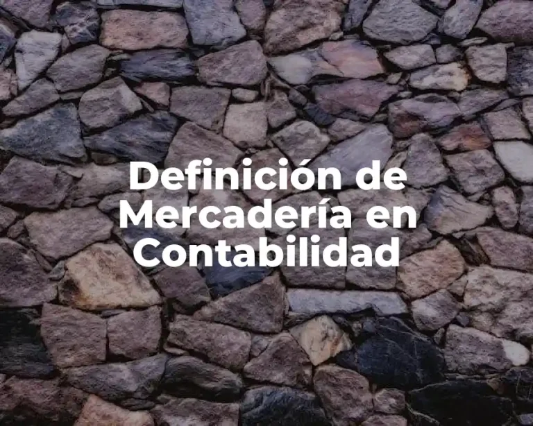 Definición de Mercadería en Contabilidad