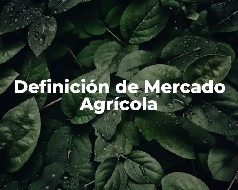 Definición de Mercado Agrícola