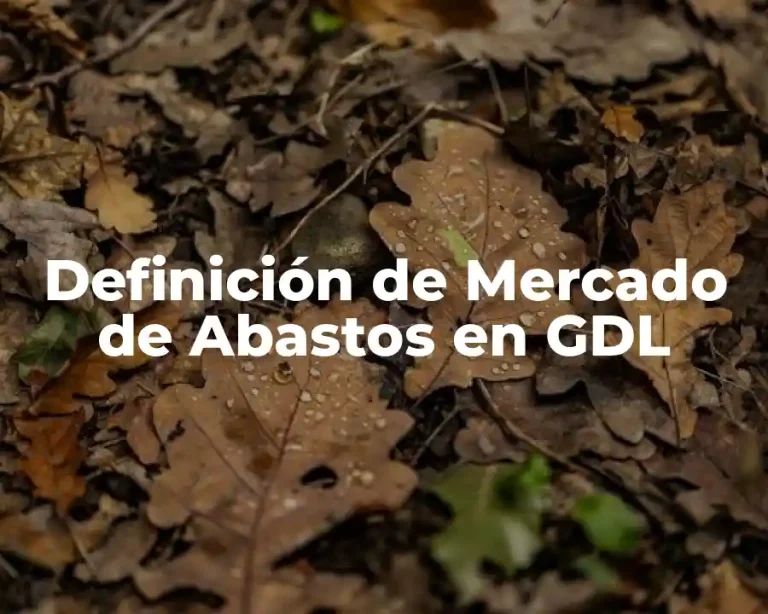 Definición de Mercado de Abastos en GDL