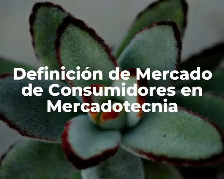 Definición de Mercado de Consumidores en Mercadotecnia