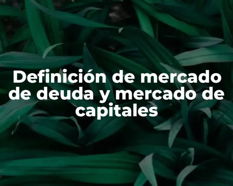 Definición de mercado de deuda y mercado de capitales