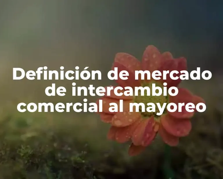 Definición de mercado de intercambio comercial al mayoreo