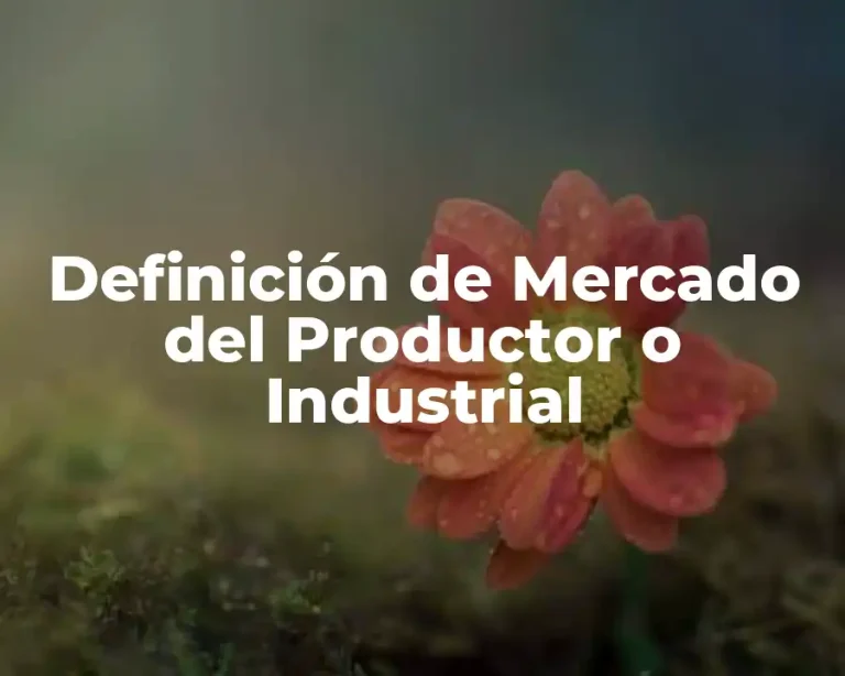 Definición de Mercado del Productor o Industrial