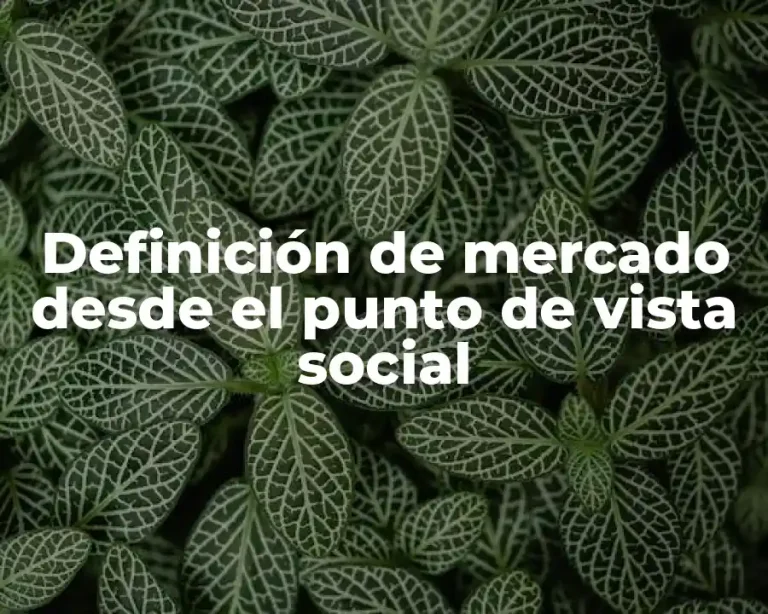Definición de mercado desde el punto de vista social