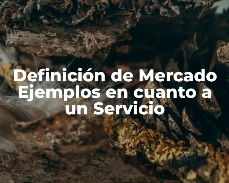 Definición de Mercado Ejemplos en cuanto a un Servicio