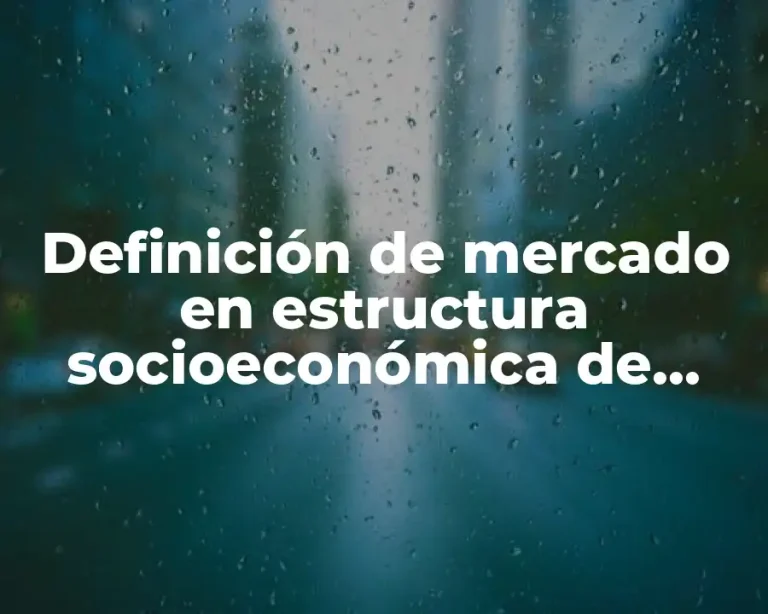 Definición de mercado en estructura socioeconómica de México