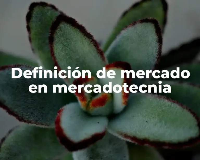 Definición de mercado en mercadotecnia