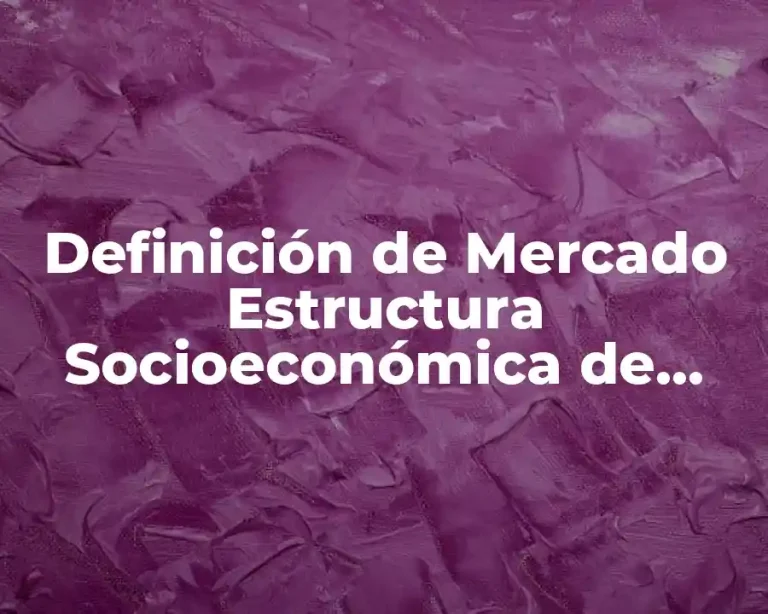 Definición de Mercado Estructura Socioeconómica de México