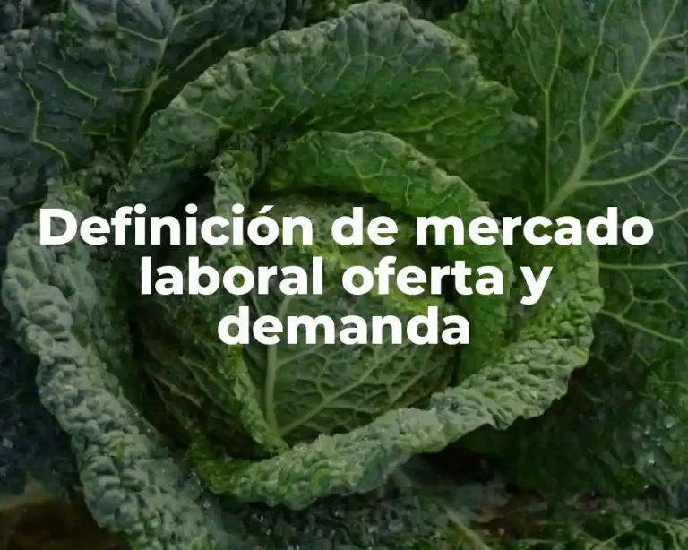 Definición de mercado laboral oferta y demanda