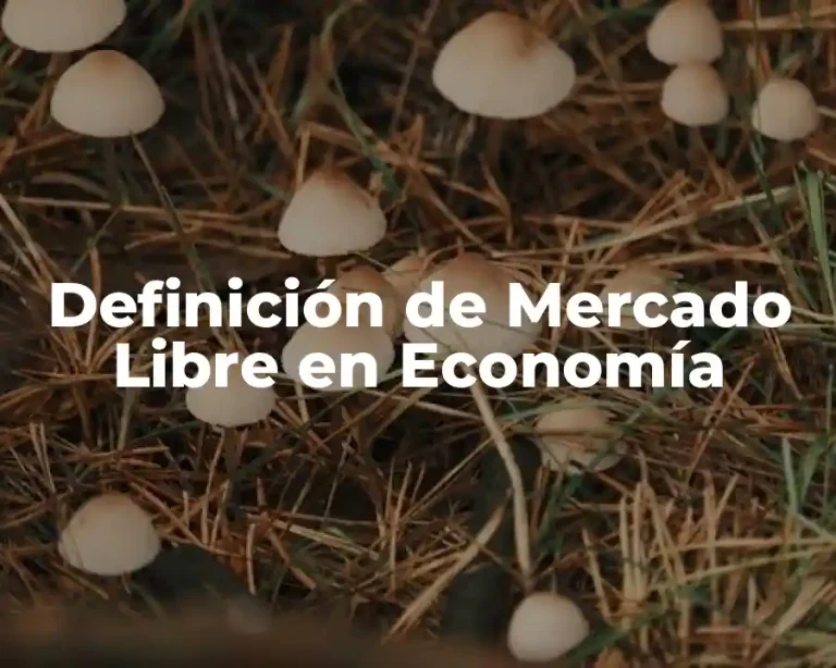 Definición de Mercado Libre en Economía