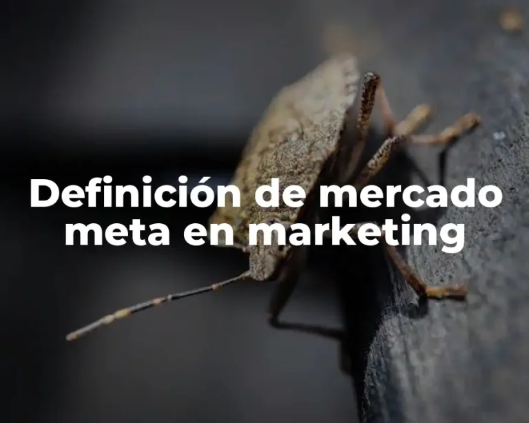 Definición de mercado meta en marketing
