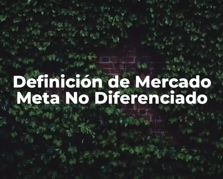 Definición de Mercado Meta No Diferenciado