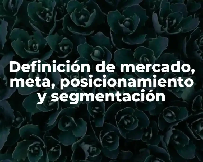 Definición de mercado, meta, posicionamiento y segmentación