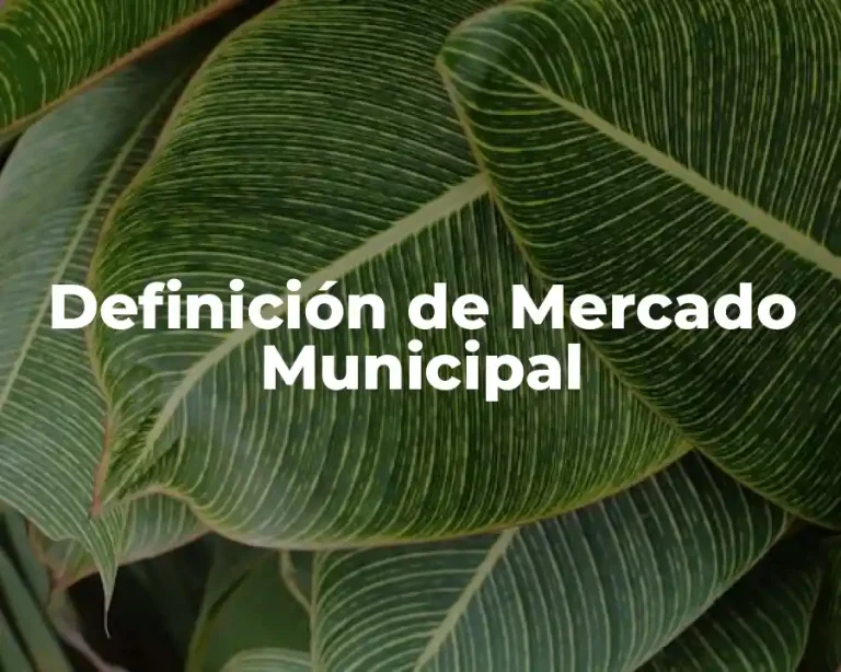 Definición de Mercado Municipal