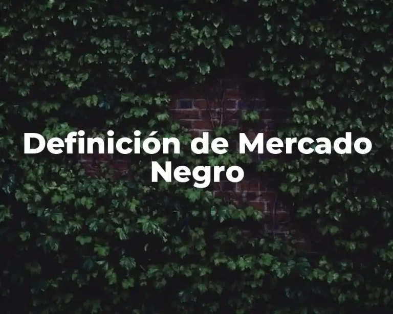 Definición de Mercado Negro