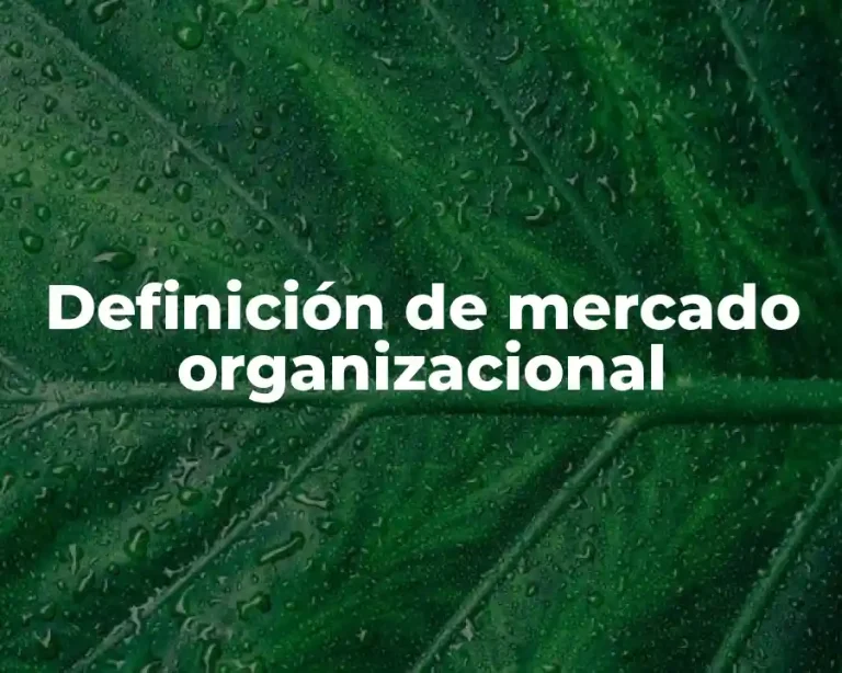 Definición de mercado organizacional