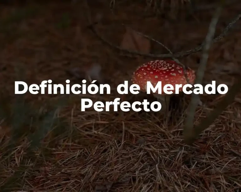 Definición de Mercado Perfecto