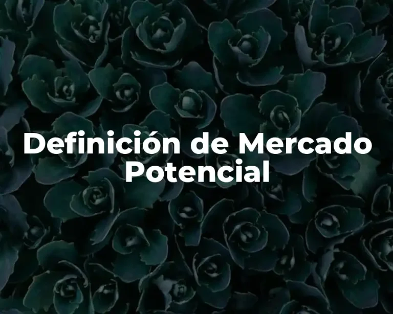 Definición de Mercado Potencial