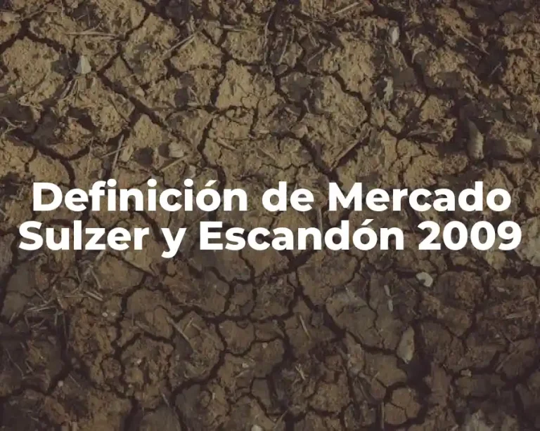 Definición de Mercado Sulzer y Escandón 2009