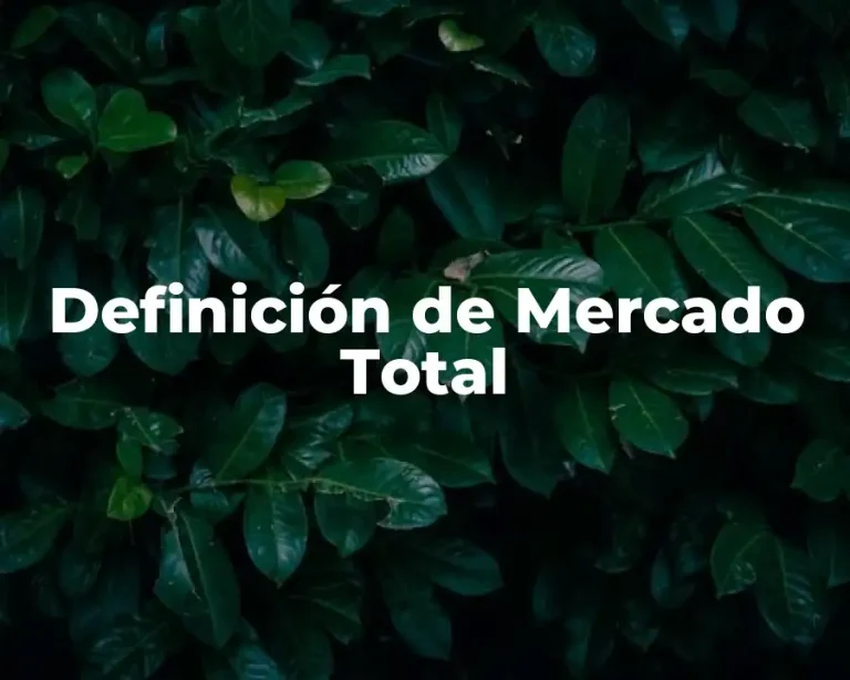 Definición de Mercado Total