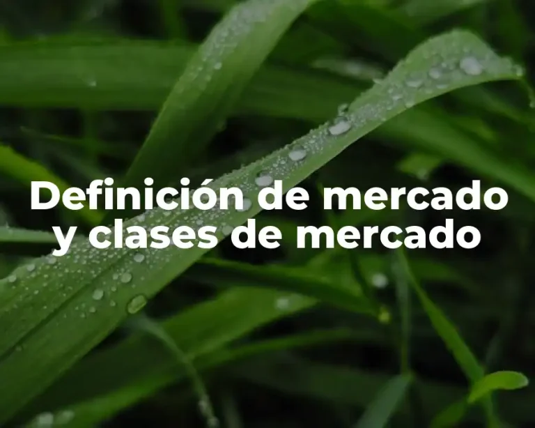 Definición de mercado y clases de mercado