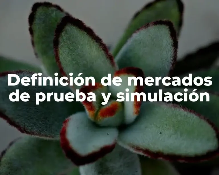 Definición de mercados de prueba y simulación