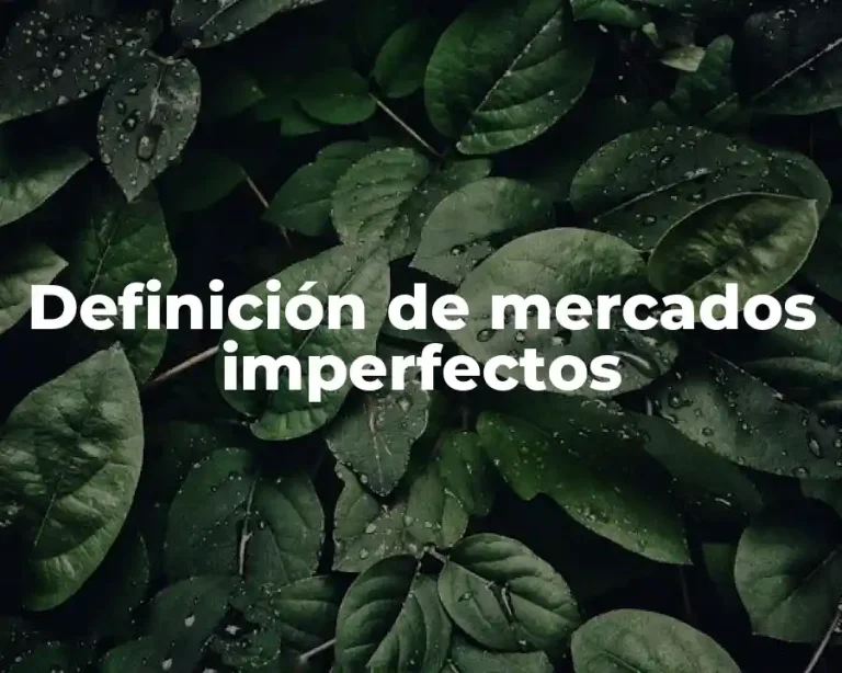 Definición de mercados imperfectos