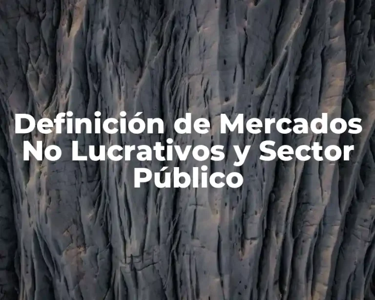 Definición de Mercados No Lucrativos y Sector Público
